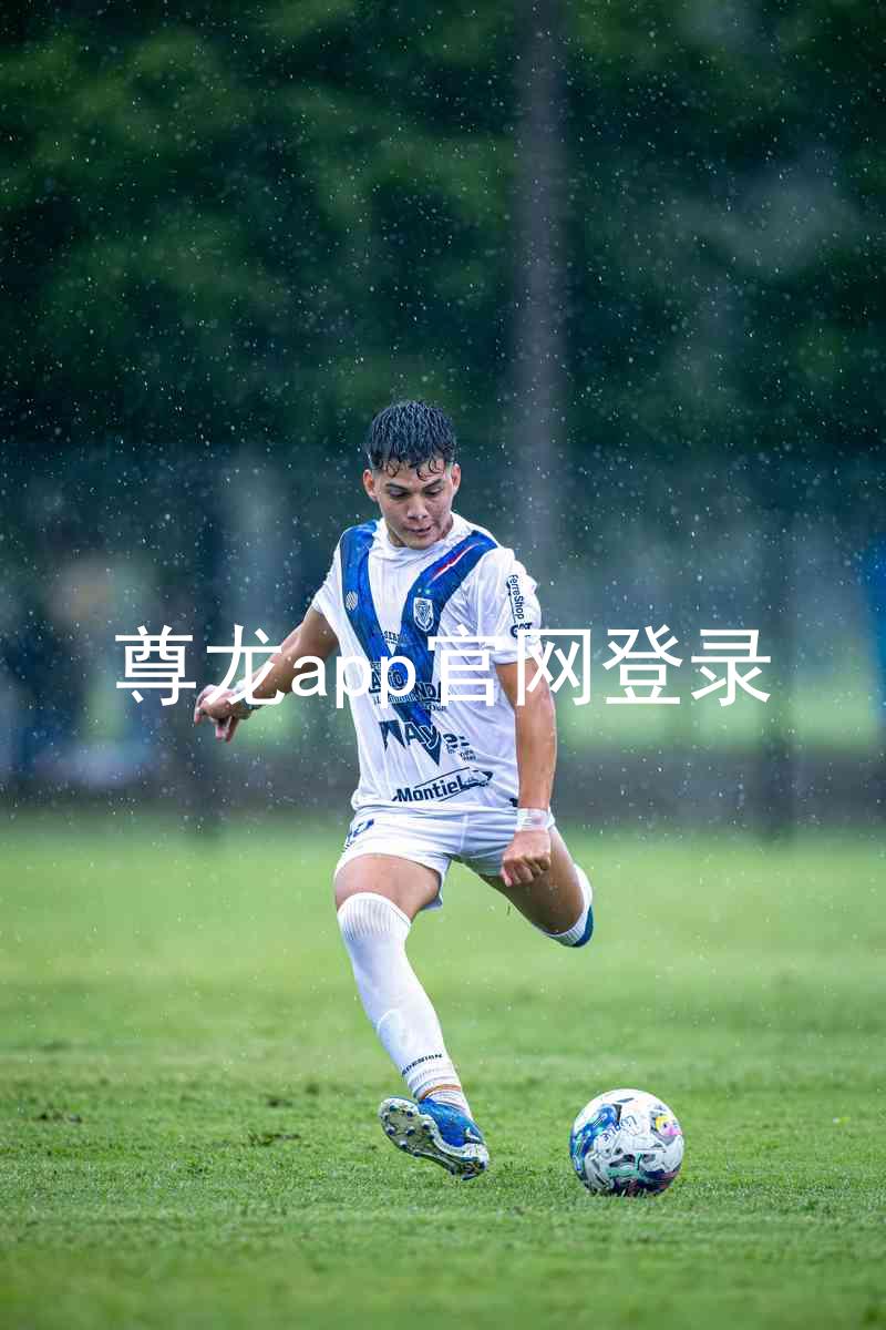 尊龙app官网登录