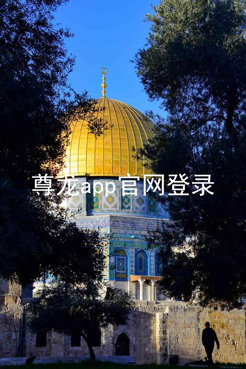 尊龙app官网登录